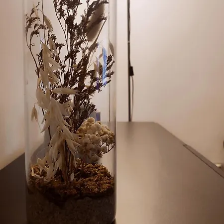 Gala *